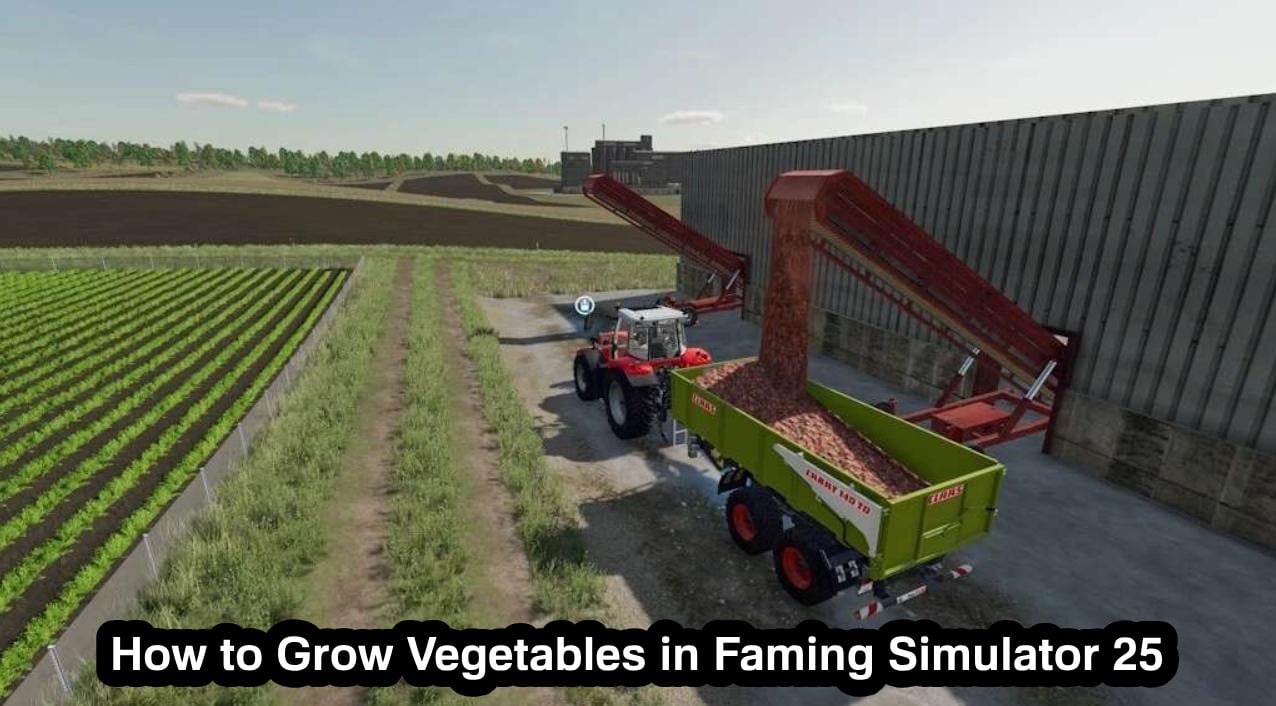 How to Grow Vegetables in Faming Simulator 25